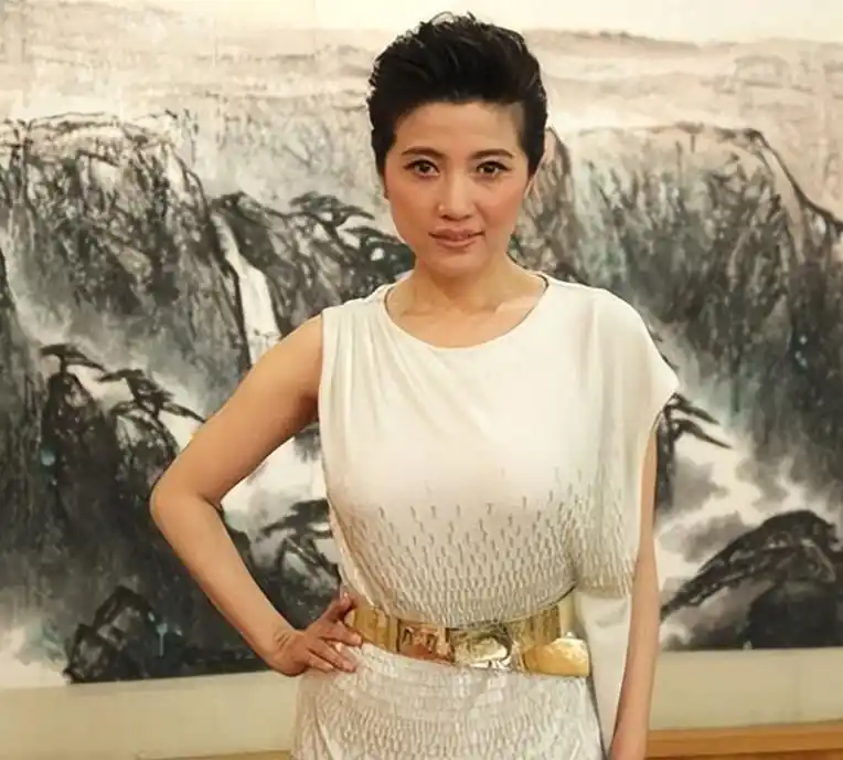 不参与炒作的女星_有什么没有黑料的明星吗,_坚持不整容的女星