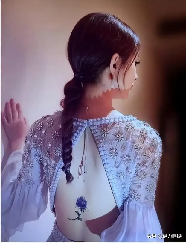 赵丽颖与冯绍峰婚姻真相_赵丽颖早期网暴经历_没有黑料的明星,